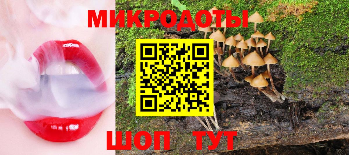 Тихвин  Галлюциногенные грибы Magic Shrooms  Галлюциногенные грибы Cubensis  наркотики  Вход с VPN 